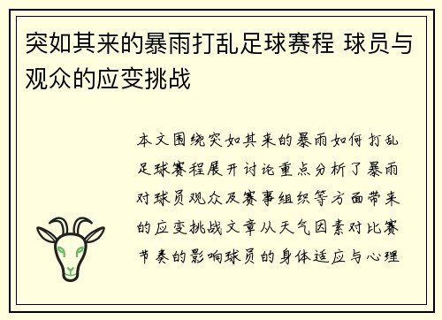 突如其来的暴雨打乱足球赛程 球员与观众的应变挑战