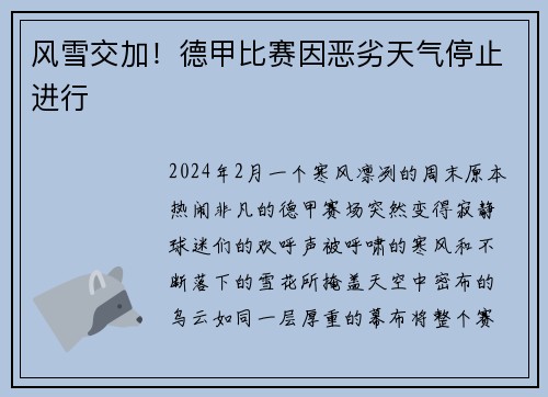 风雪交加！德甲比赛因恶劣天气停止进行