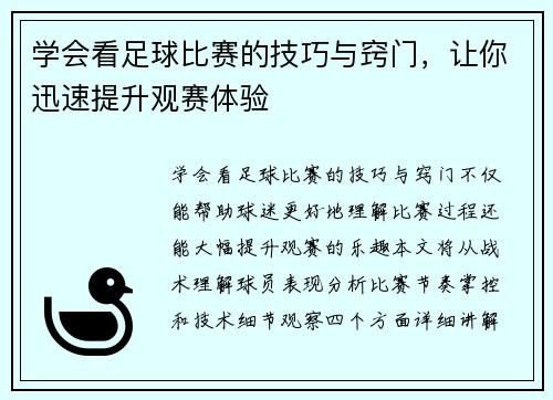 学会看足球比赛的技巧与窍门，让你迅速提升观赛体验