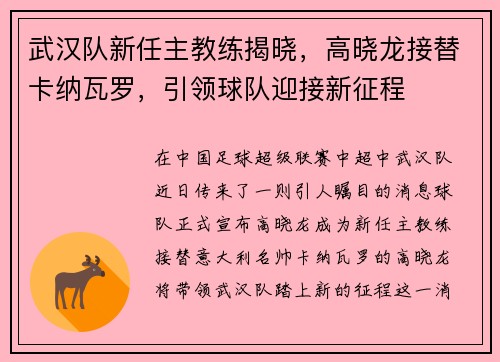 武汉队新任主教练揭晓，高晓龙接替卡纳瓦罗，引领球队迎接新征程